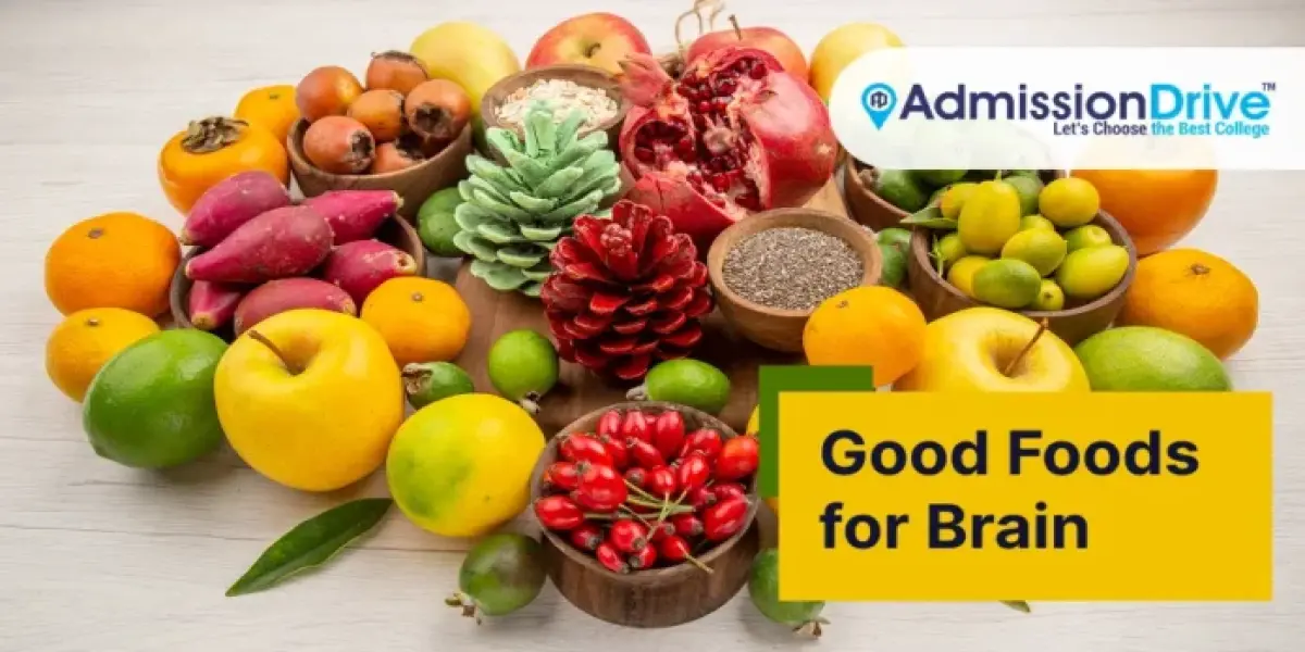 What Fruits Should Students Eat to Strengthen Their Memory?  Good Foods for Brain